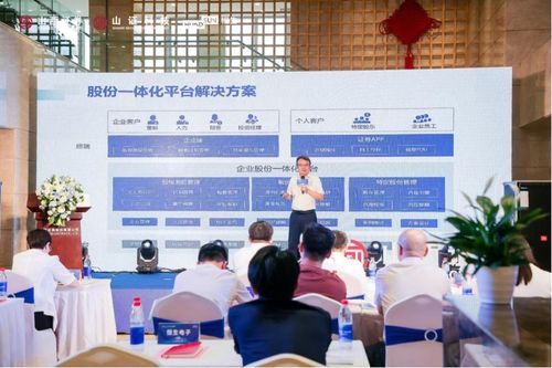 山西證券股權(quán)激勵(lì)管理系統(tǒng) 以智慧陪伴企業(yè)成長(zhǎng)，共筑未來(lái)新篇章